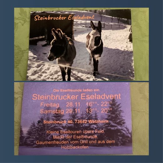 Eseladvent 2025
